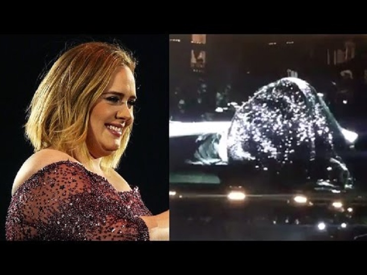 Adele FLASHES Crowd after Beetle lands in her shoe during Concert in New Zealand