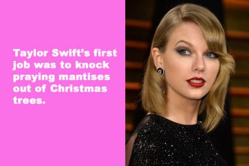 Real Life Facts of Hollywood Celebrities
