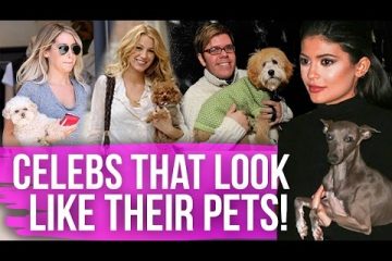 5 Celebs that Look JUST like their Pets!
