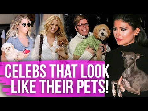 5 Celebs that Look JUST like their Pets!