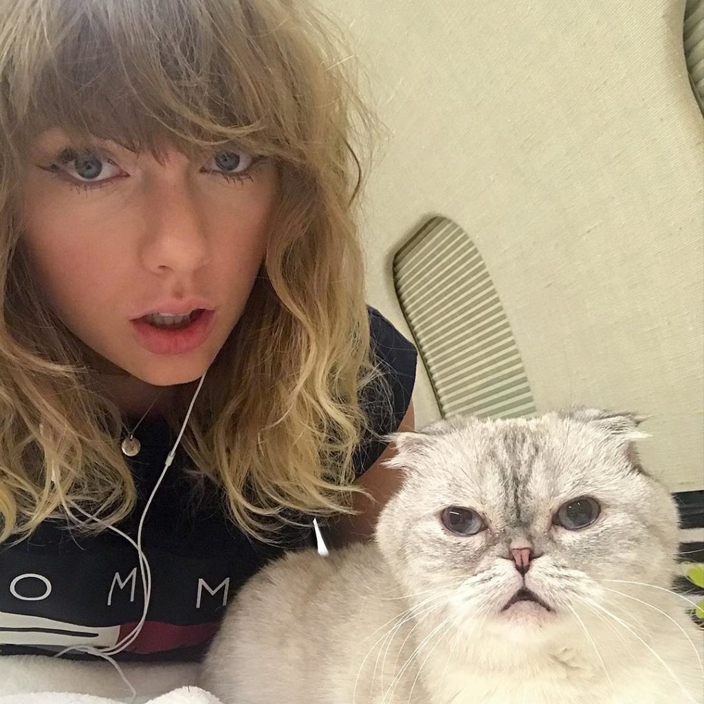 Taylor Swift has HILARIOUS Reaction to Cats’ Cameo in Deadpool 2