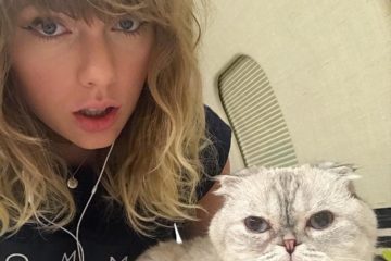 Taylor Swift has HILARIOUS Reaction to Cats’ Cameo in Deadpool 2