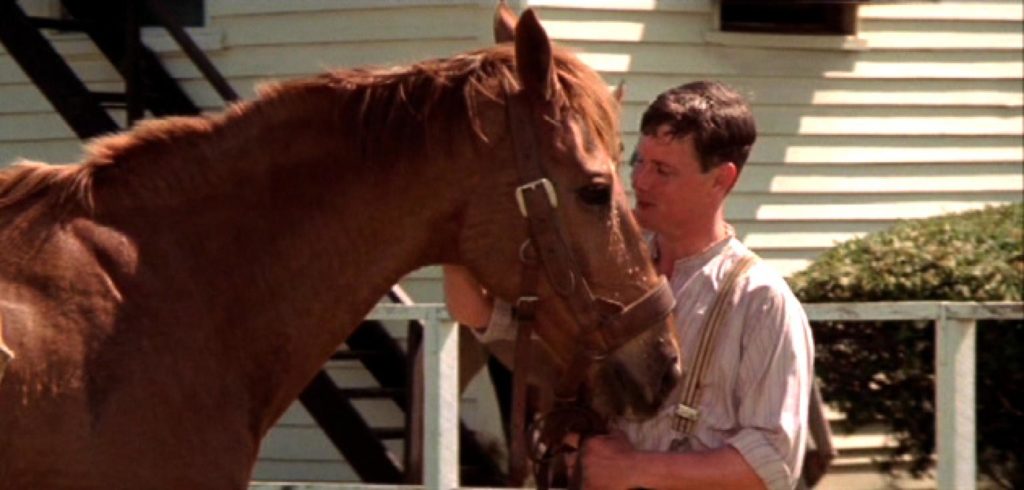A Compilation of 5 of the Best Horse Racing Movies of all Time