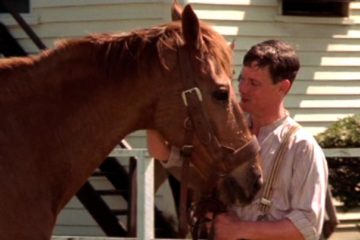 A Compilation of 5 of the Best Horse Racing Movies of all Time